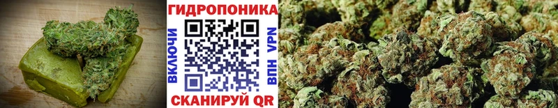 Cannafood конопля  блэк спрут сайт  Кашин 