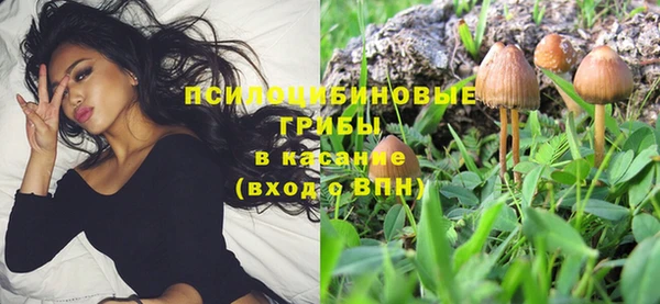каннабис Арсеньев