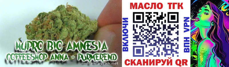 hydra как войти  Кашин  Дистиллят ТГК Wax  наркошоп 